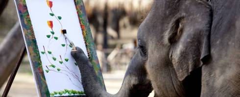 elefant-pictând